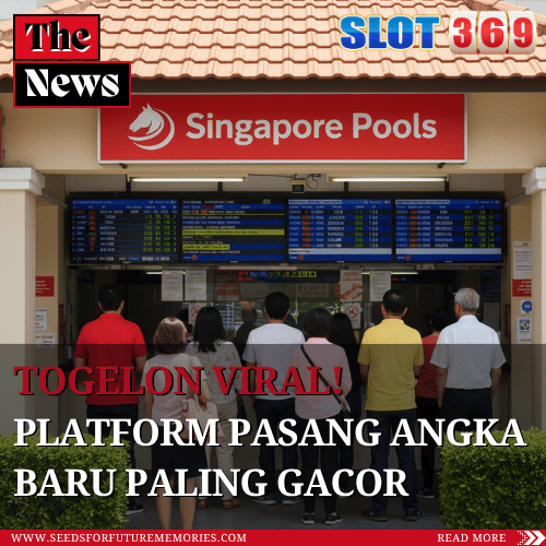Togelon Viral! Platform Pasang Angka Baru Paling Gacor